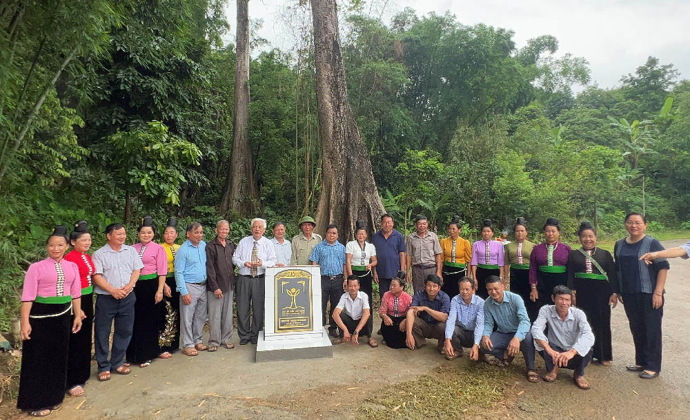 32[-]cây[-]của[-]17[-]bản[-]và[-]tiểu[-]khu[-]của[-]huyện[-]Mường[-]La[-]-Sơn[-]La)được[-]công[-]nhận[-]Cây[-]Di[-]sản[-]Việt[-]Nam